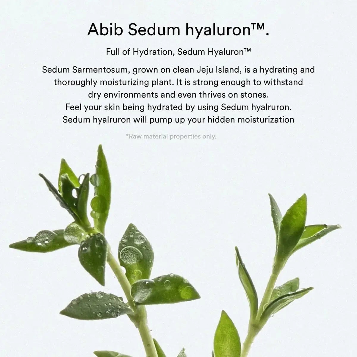 ABIB Sedum Hyaluron Facial Pads 75pcs - 165ml