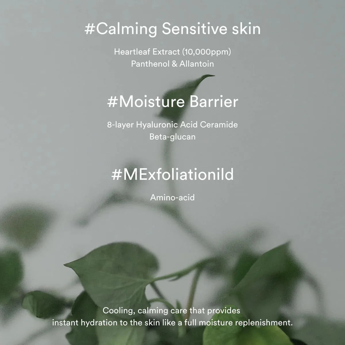 ABIB Heartleaf Creme Calming Tube 75ml