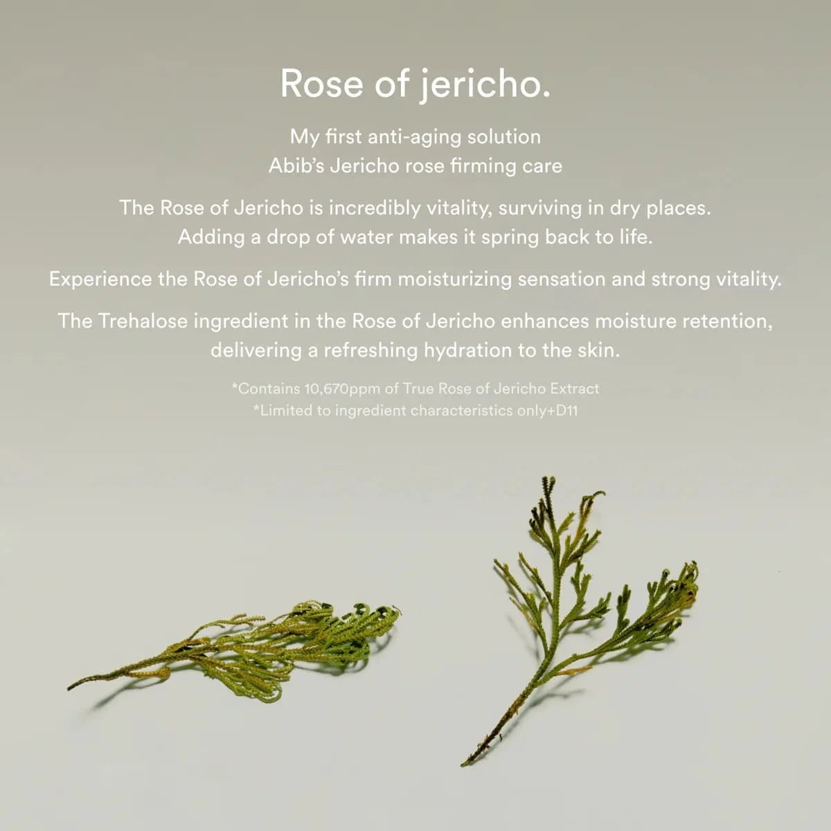 ABIB Jericho Rose Collagen  Firming Touch Pads 60pcs -250ml