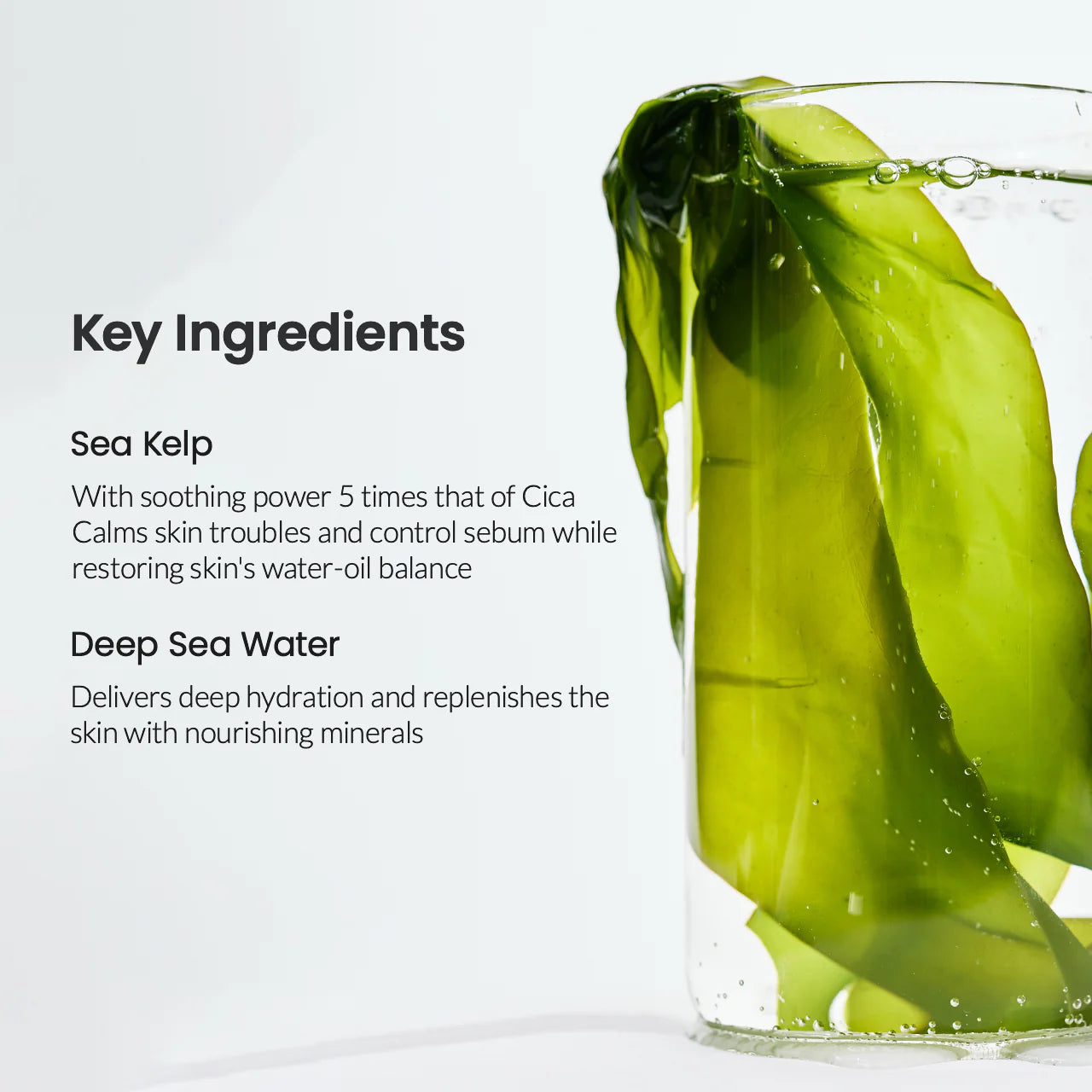 Biodance Refreshing Sea Kelp Real Deep Face Mask 34g