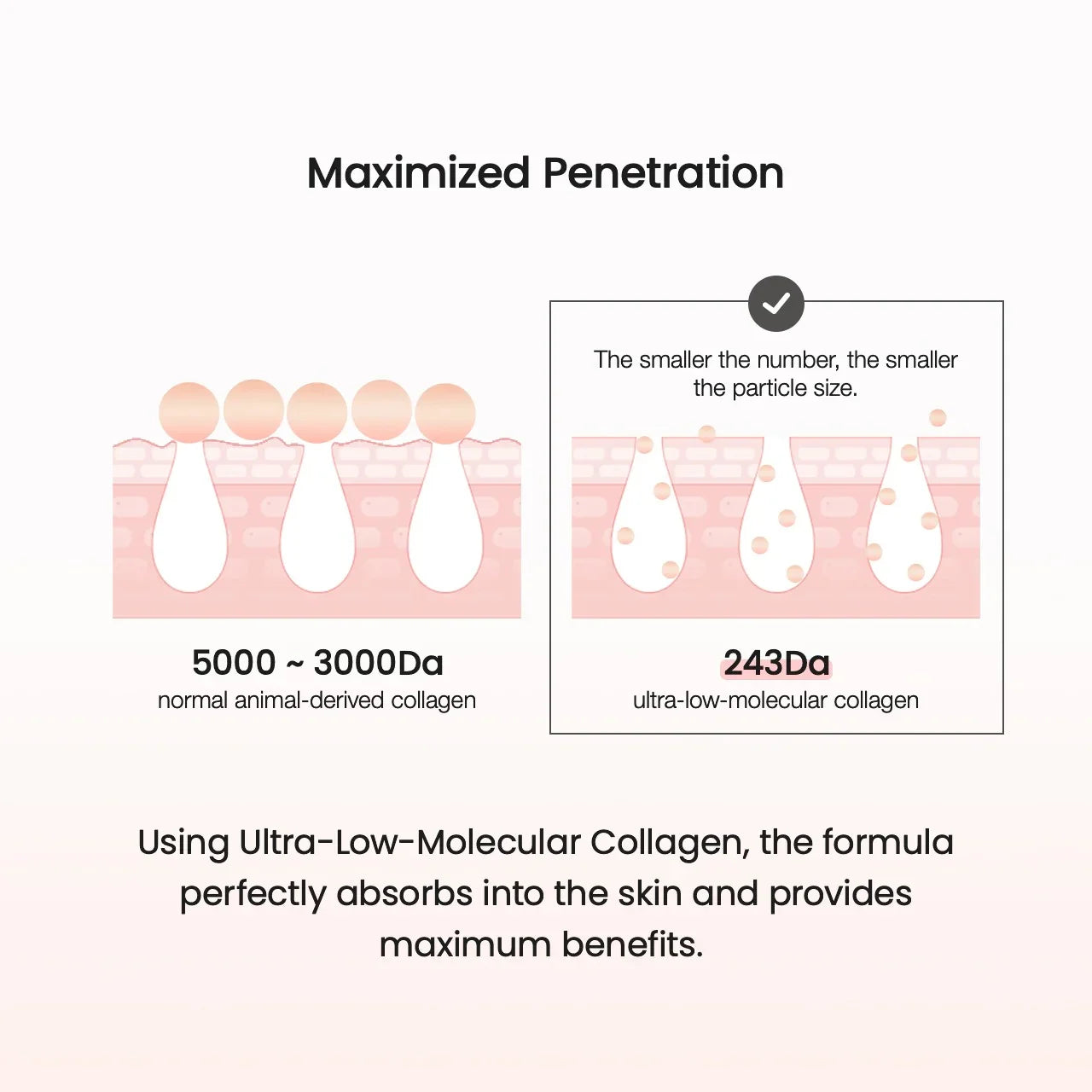 BIODANCE Pore Tightening Collagen Cream 50ml