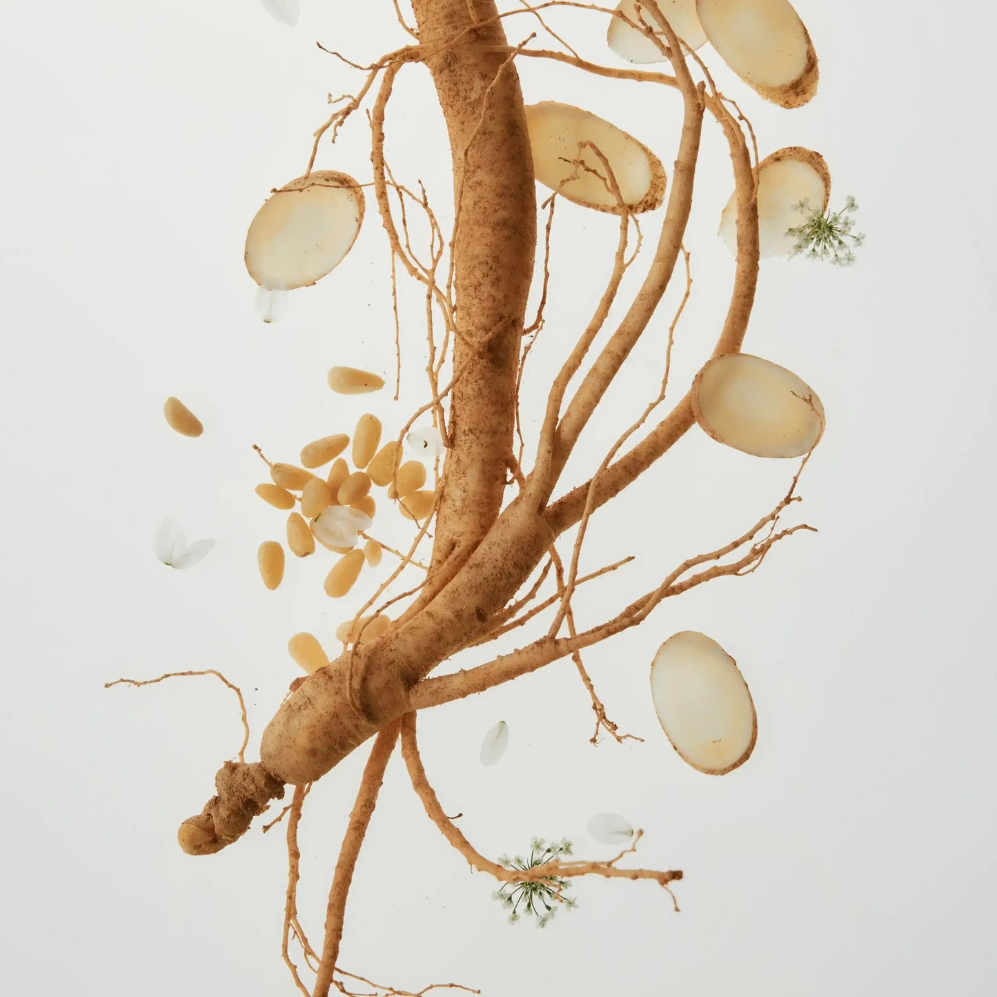 BEAUTY OF JOSEON Revive Under Eye Patch Ginseng + Retinal 93g - 60patches